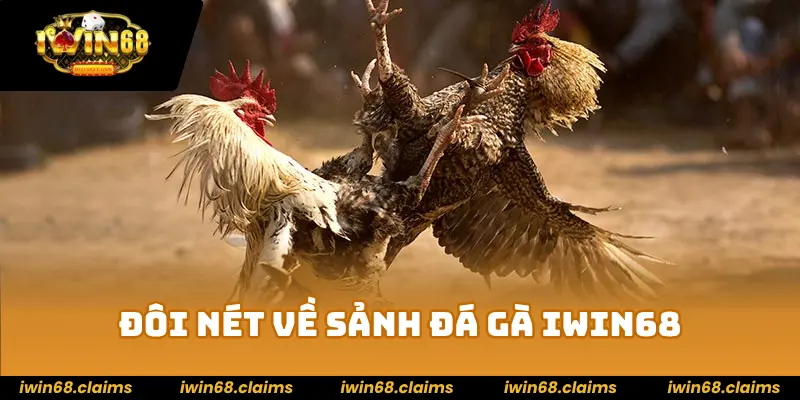 ĐÁ GÀ 1 Đôi nét về sảnh đá gà IWIN68
